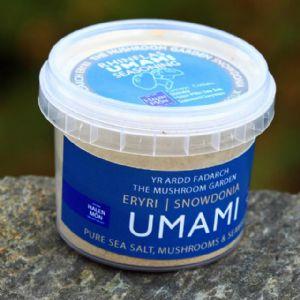Our Mushroom Flavours (powder).