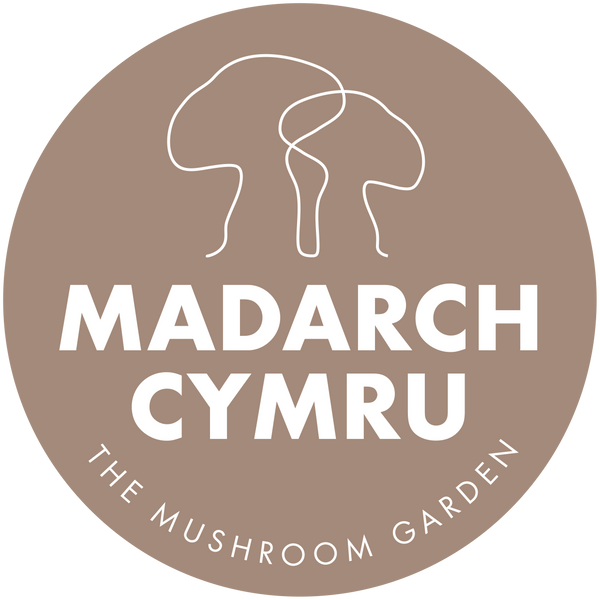 Madarch Cymru