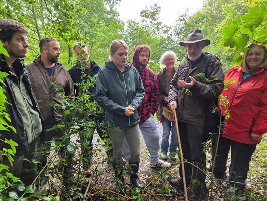 Hydref 2025- Pam cymaint o Ffyngau eleni?