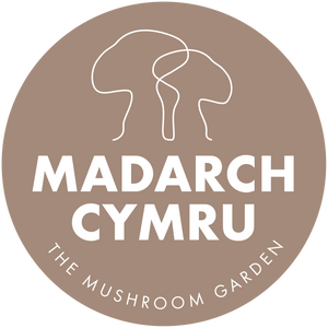 Madarch Cymru